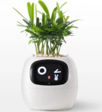 PetPlant™ Smart Self-Watering Planter (One Piece)