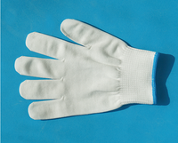 Stainless Steel Cut-Resistant Kitchen Gloves
