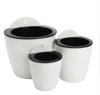 Dinosaur Egg Automatic Watering Wall Planter Pot