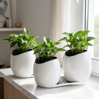 Dinosaur Egg Automatic Watering Wall Planter Pot