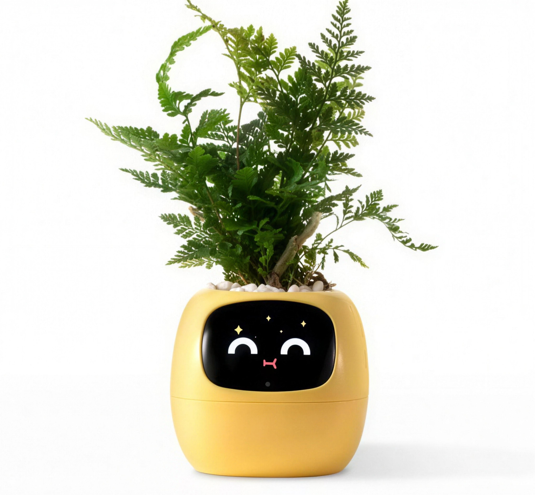 Smart Planter with Rich Expressions, HD photo 1