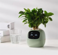 Smart Planter with Rich Expressions, HD photo 5