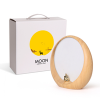 Hidden Compartment Moon Lamp – USB Rechargeable Night Light