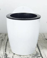 Dinosaur Egg Automatic Watering Wall Planter Pot