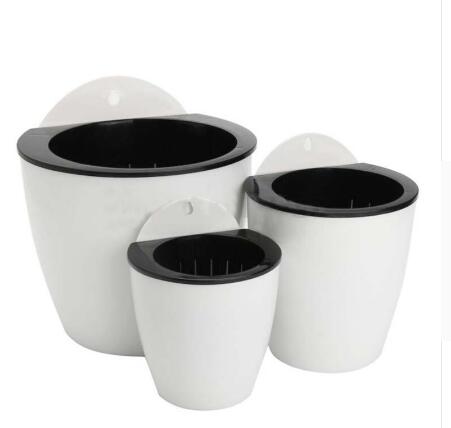 Dinosaur Egg Automatic Watering Wall Planter Pot