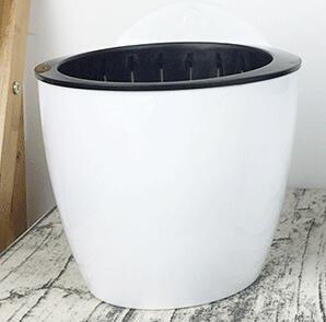 Dinosaur Egg Automatic Watering Wall Planter Pot