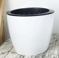 Dinosaur Egg Automatic Watering Wall Planter Pot