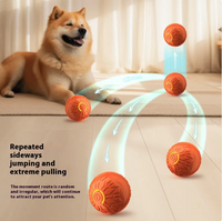 Electric Jumping Ball – Automatic Light-Up Dog Toy