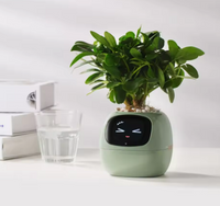 Smart Planter with Rich Expressions