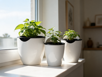 Dinosaur Egg Automatic Watering Wall Planter Pot