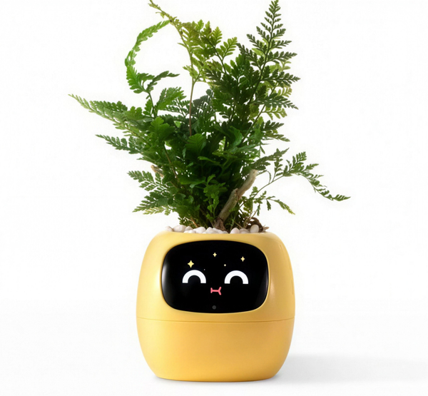 Smart Planter with Rich Expressions, HD photo 1